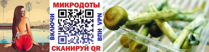 Псилоцибиновые грибы GOLDEN TEACHER  Лениногорск 